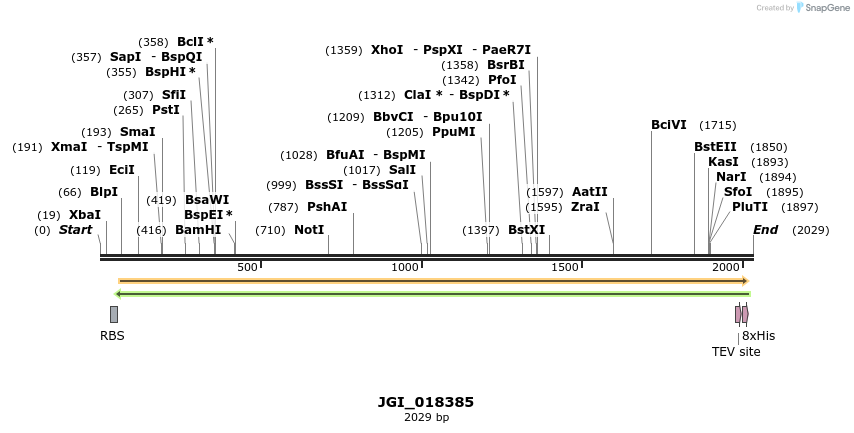 306580_map