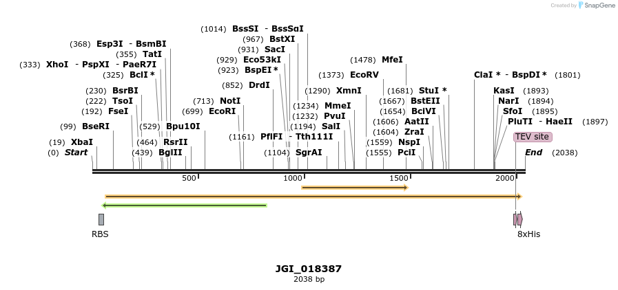 306581_map
