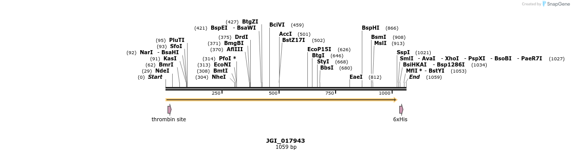 306587_map