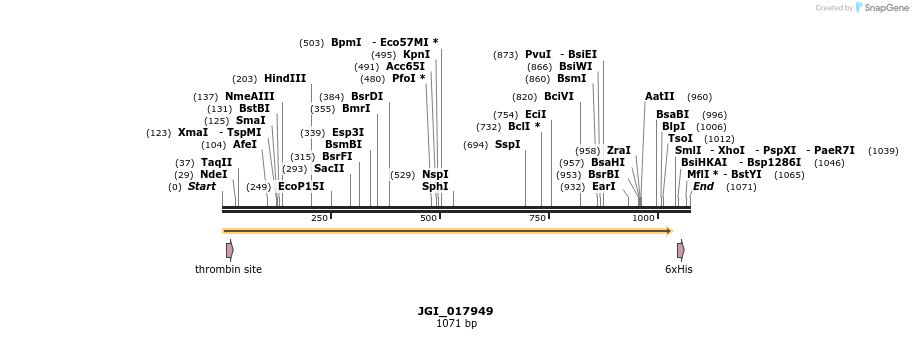 306589_map