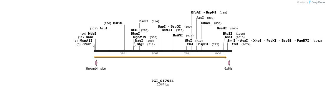 306590_map