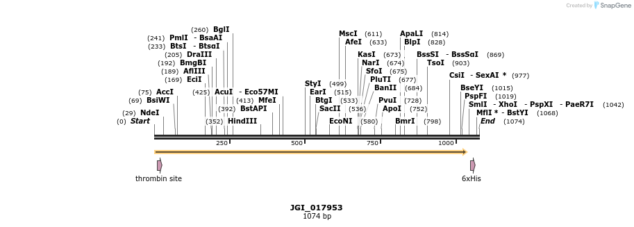 306591_map