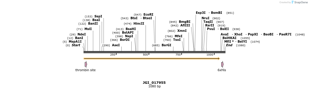 306592_map