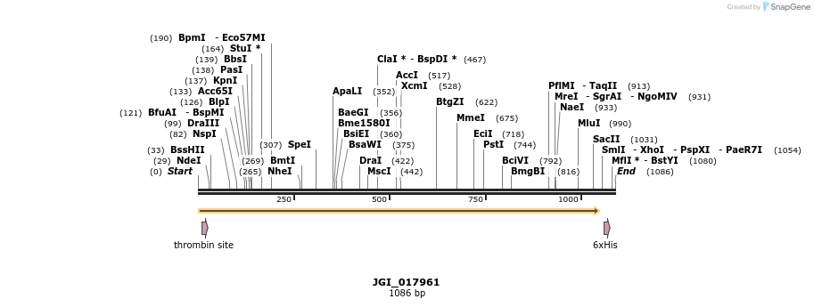 306595_map