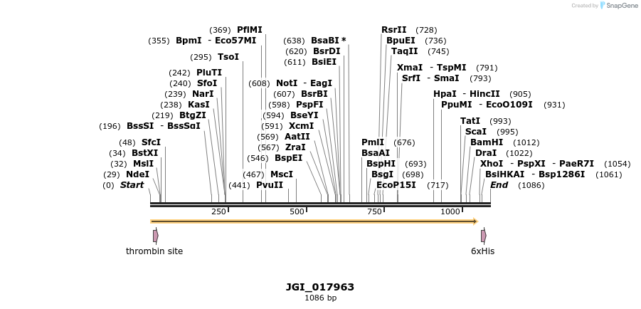 306596_map