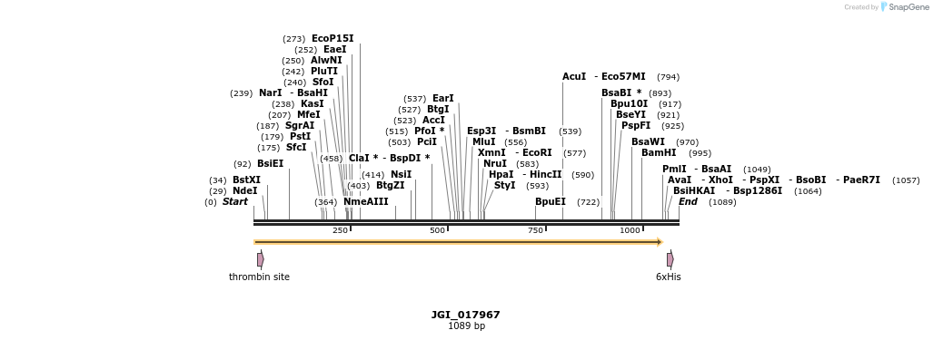 306598_map