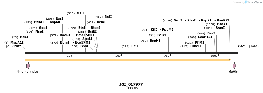 306602_map