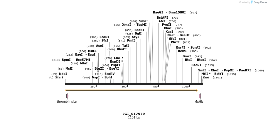 306603_map
