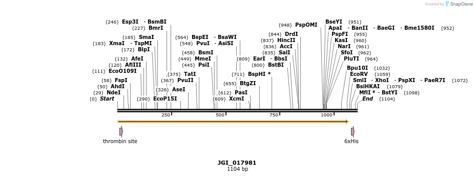 306604_map