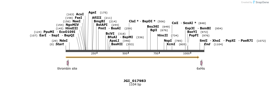 306605_map