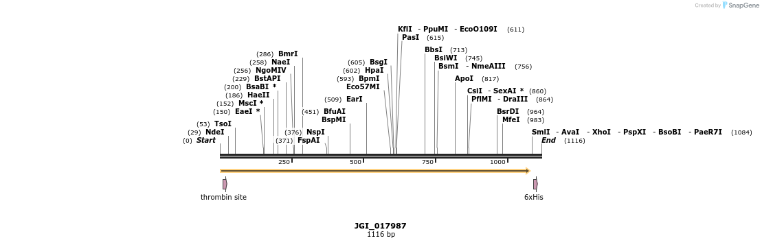 306607_map