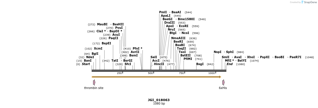 306611_map