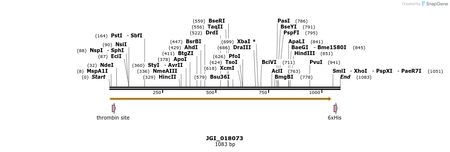 306616_map