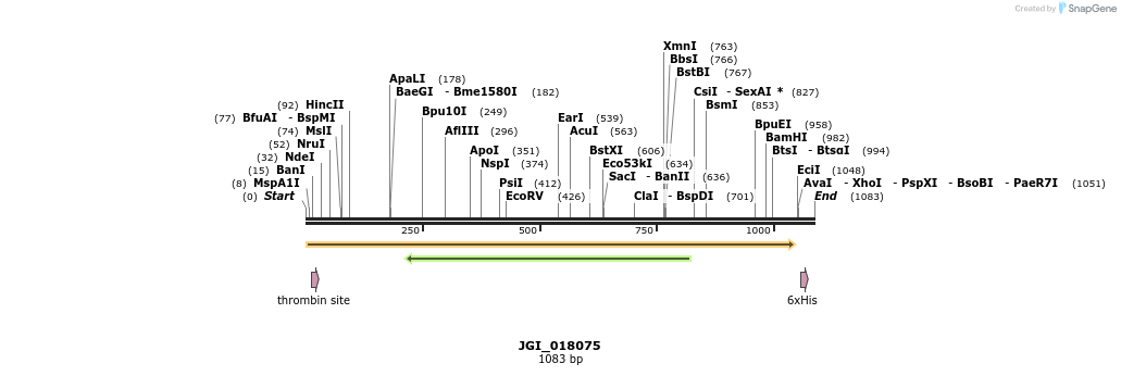 306617_map