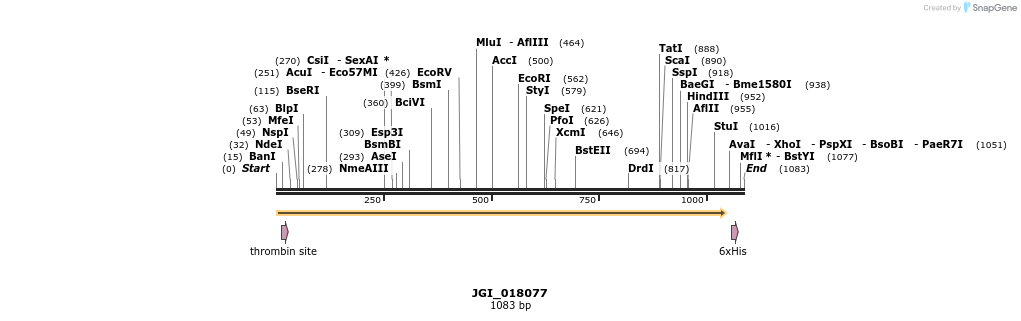 306618_map