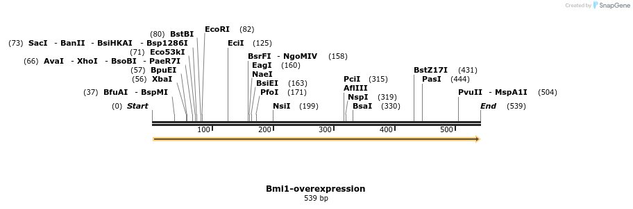 30662_map