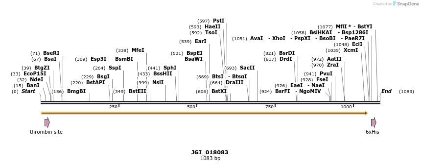 306621_map
