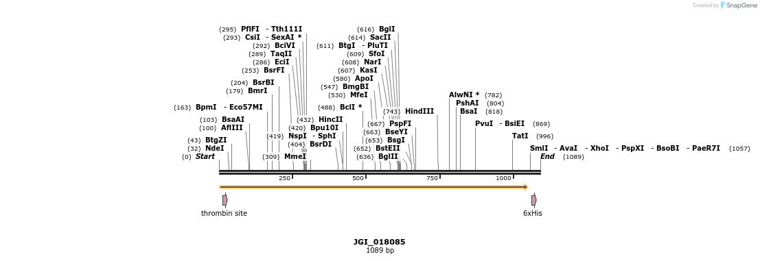 306622_map