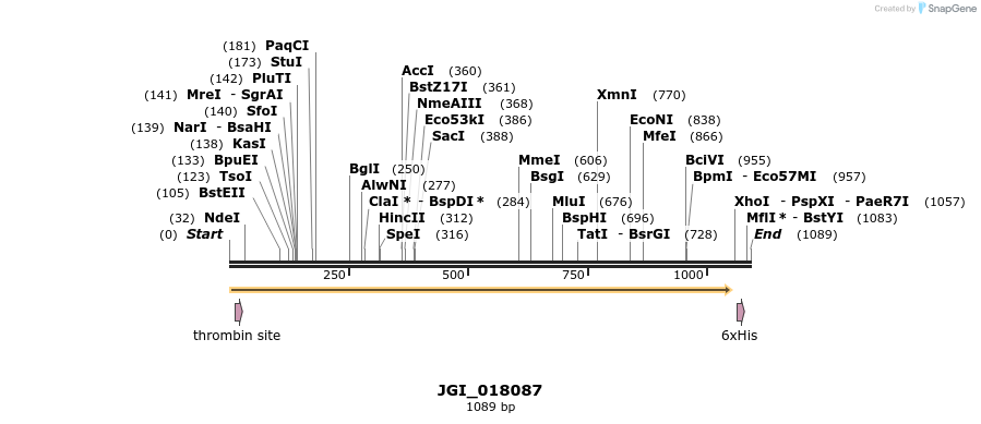 306623_map