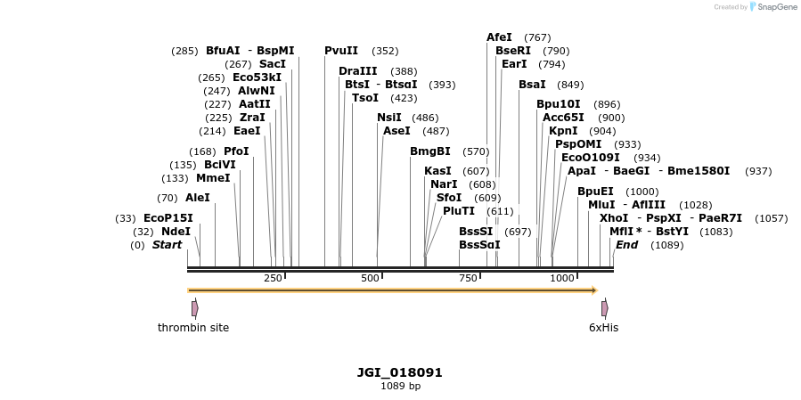 306625_map