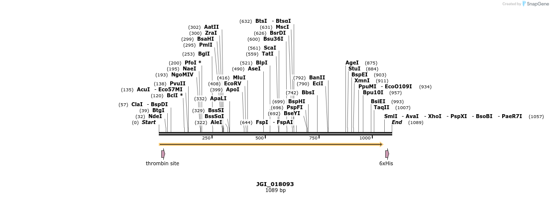 306626_map
