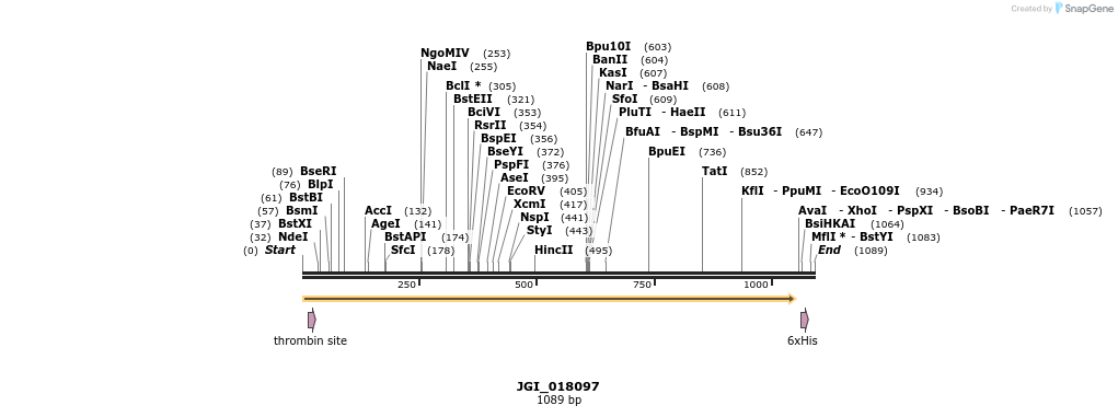 306628_map