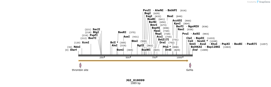 306629_map