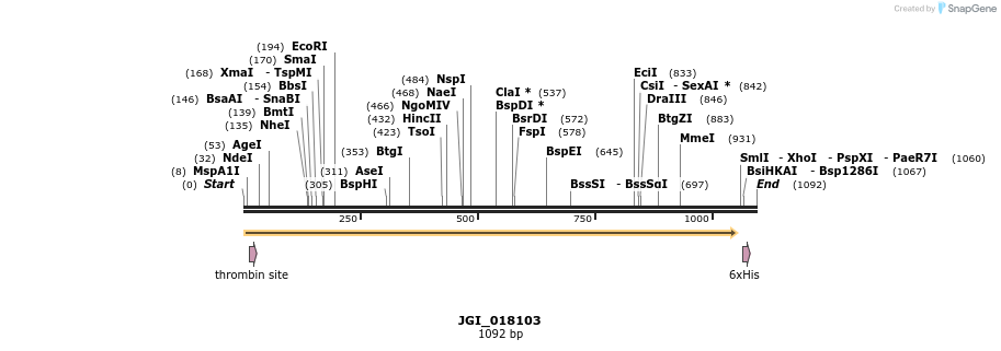 306631_map