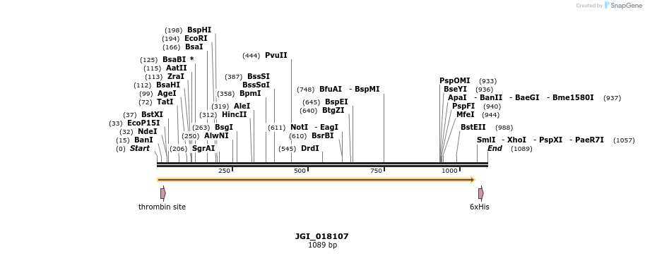 306633_map