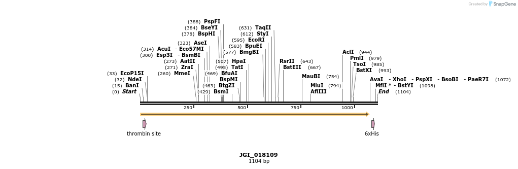 306634_map