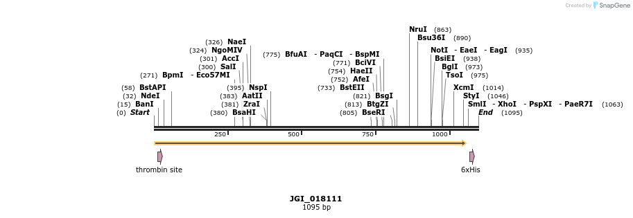 306635_map