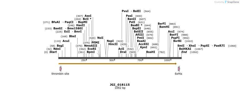 306637_map