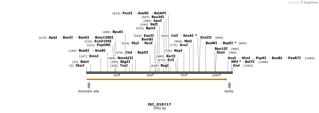 306638_map