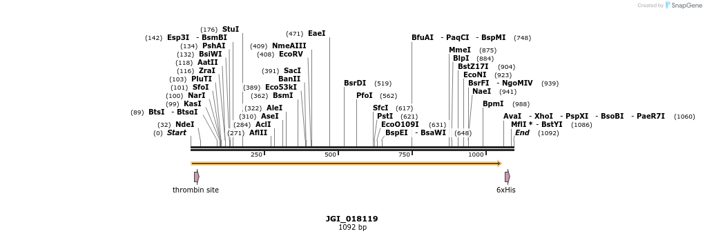 306639_map