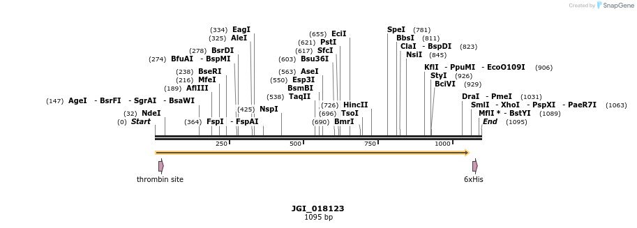 306641_map