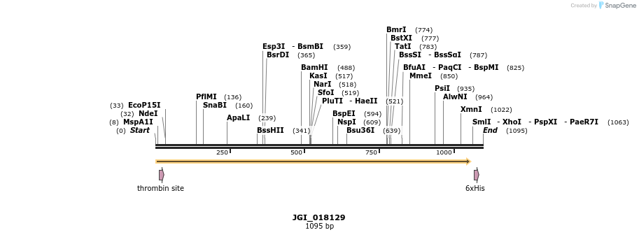 306644_map