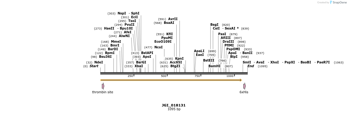 306645_map