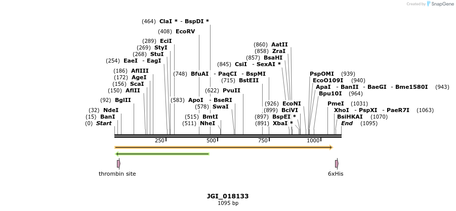 306646_map