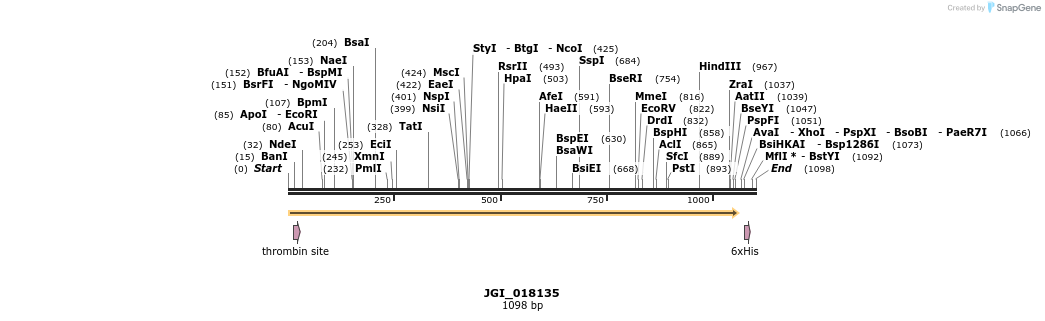 306647_map