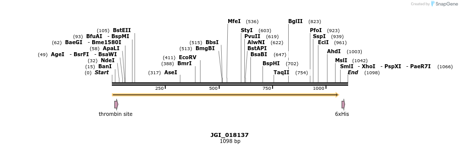 306648_map