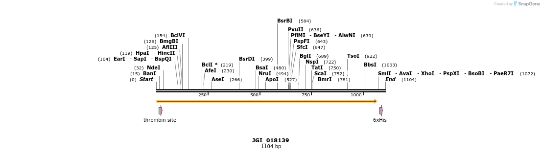306649_map