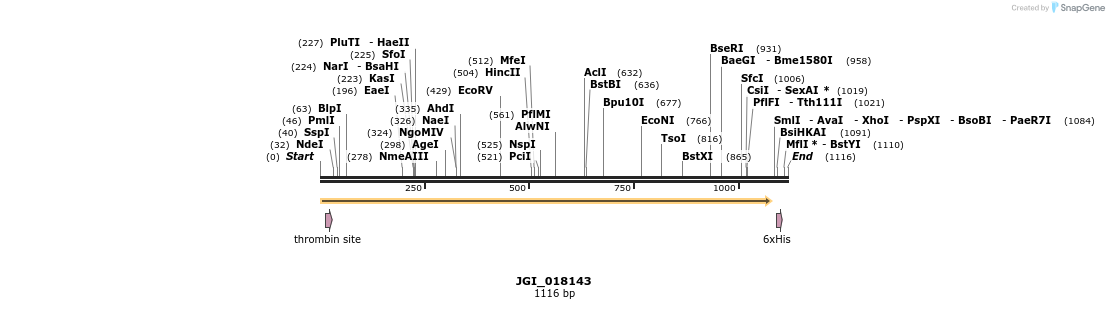 306651_map