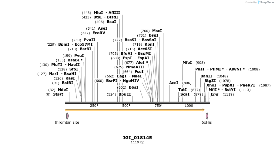 306652_map