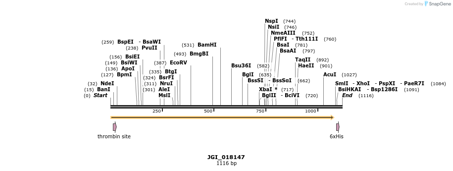 306653_map