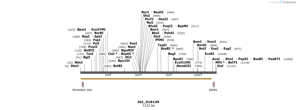 306654_map