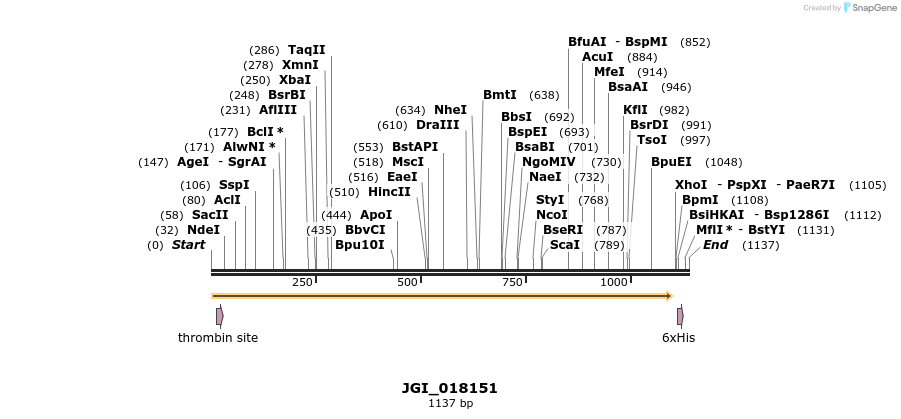 306655_map