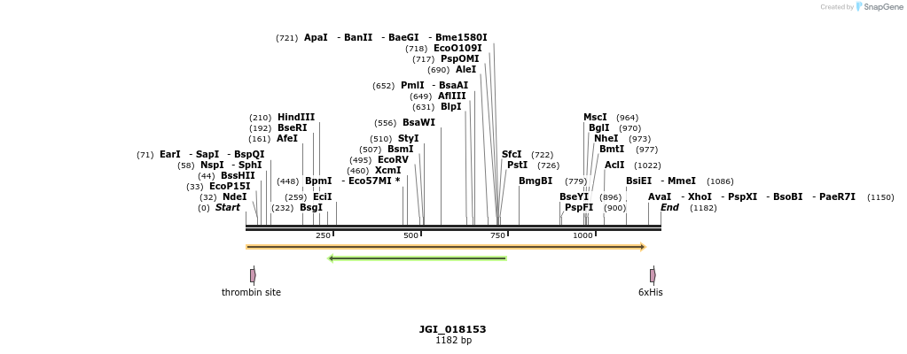 306656_map