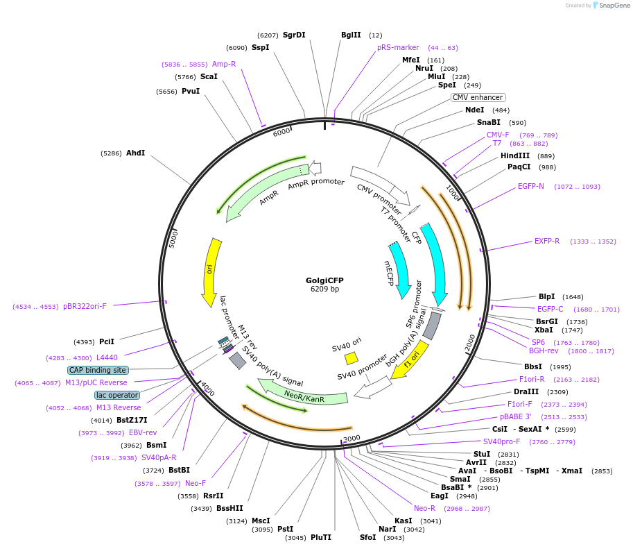 306660_map