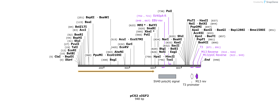 30675_map