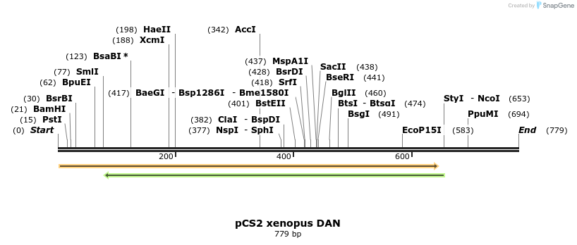 30682_map